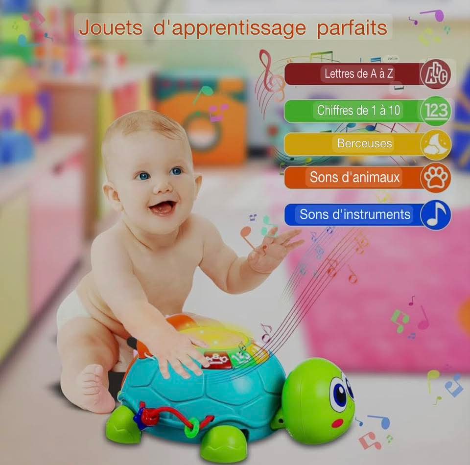 Tortue musicale pour enfant - Boutique Gi&Co